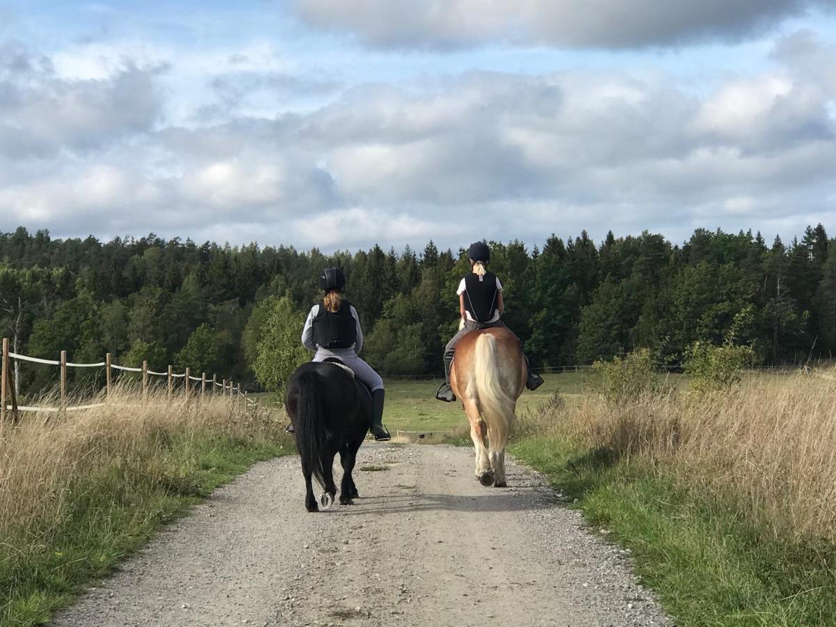 House At Horse Farm With And Sauna Holo (Sodertalje)